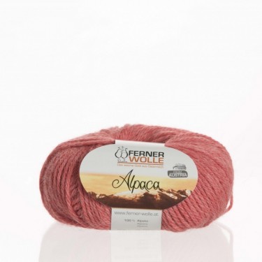 Ferner Alpaca - 174 Ferner Alpaca - 174