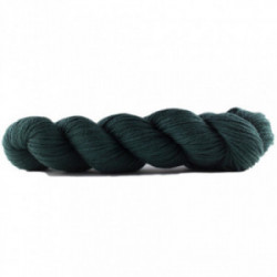 Rosy Green Wool - Big Merino Hug 129 Farnwald