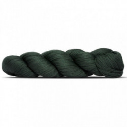 Rosy Green Wool - Cheeky Merino Joy 146 Seetang