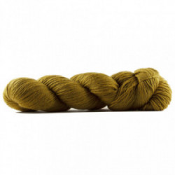 Rosy Green Wool - Cheeky Merino Joy 255 Honigkuchen