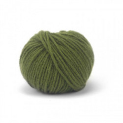 Pascuali Cashmere Worsted 46 (bio) Alge