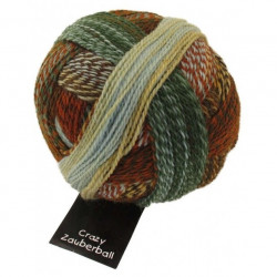 Schoppel Zauberball Crazy 1660 Flussbett