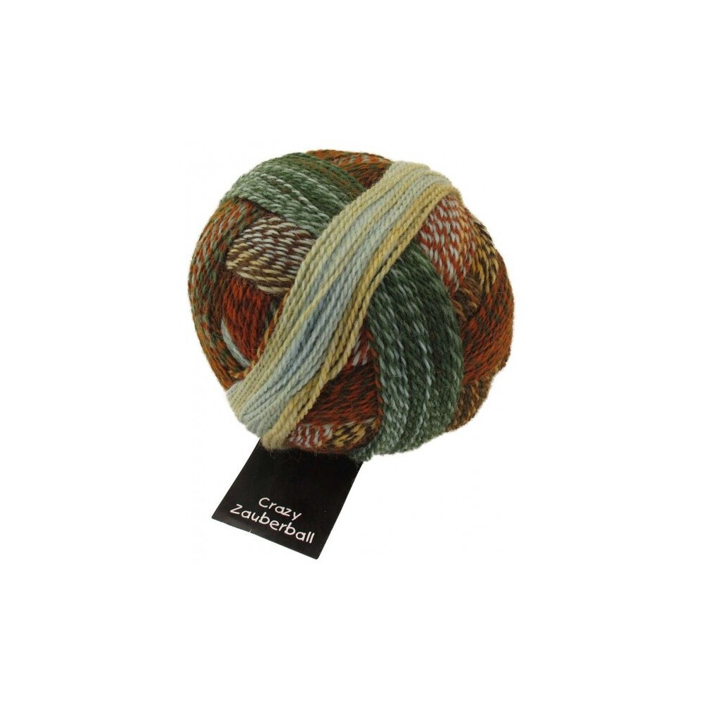 Schoppel Zauberball Crazy 1660 Flussbett