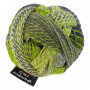 Schoppel Zauberball Crazy 2204 Grüne Woche