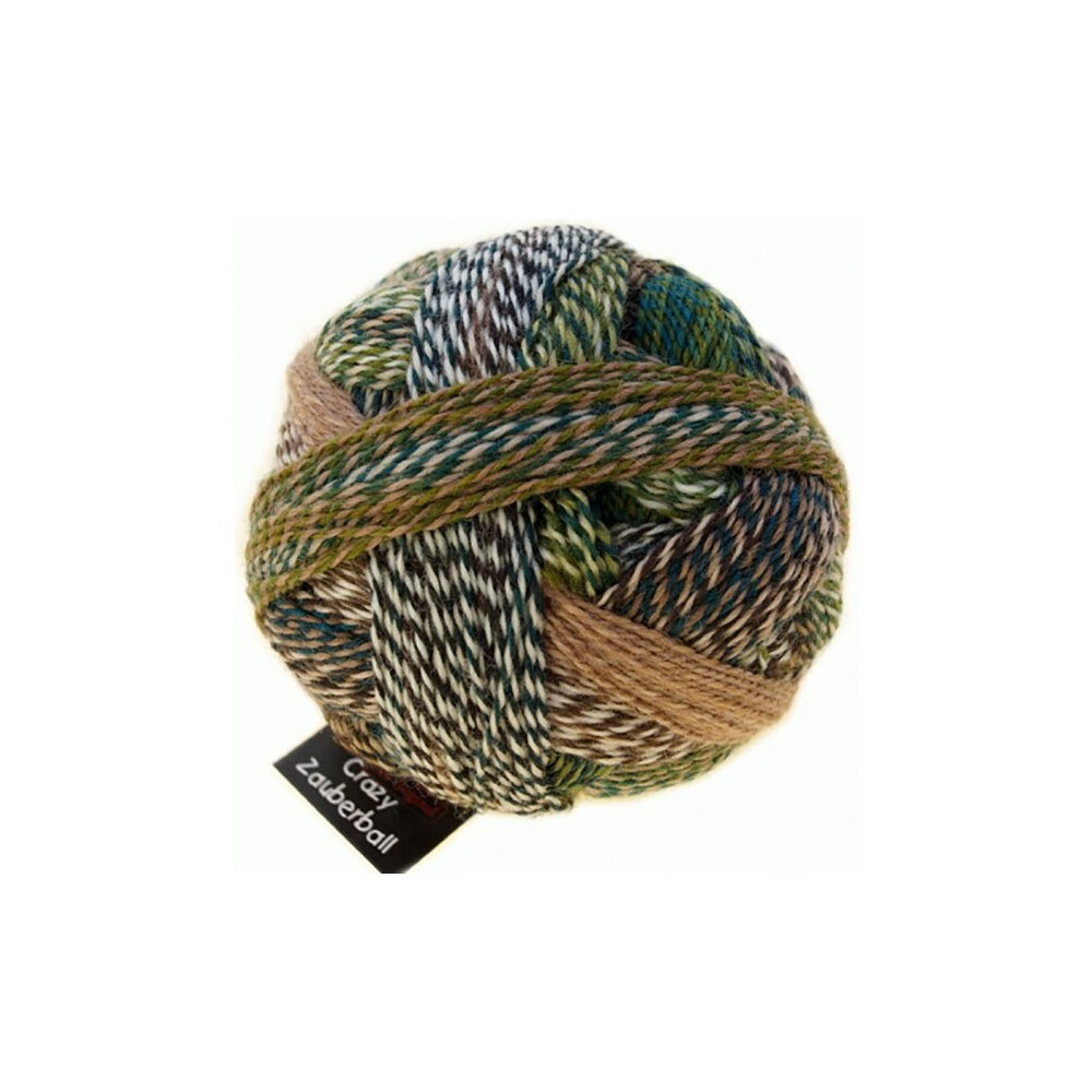 Schoppel Zauberball Crazy 2250 Jacke wie Hose