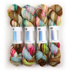 Hedgehog Fibres Sock Yarn Macaroon