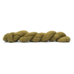 Pascuali Alpaca Lace 38 Kiwi