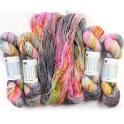 Hedgehog Fibres Sock Yarn Dada