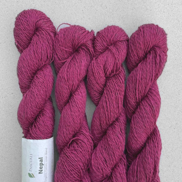 Pascuali Nepal 08 himbeerrot