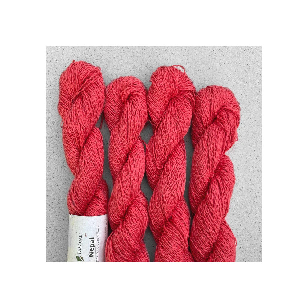 Pascuali Nepal 39 Hagebutte