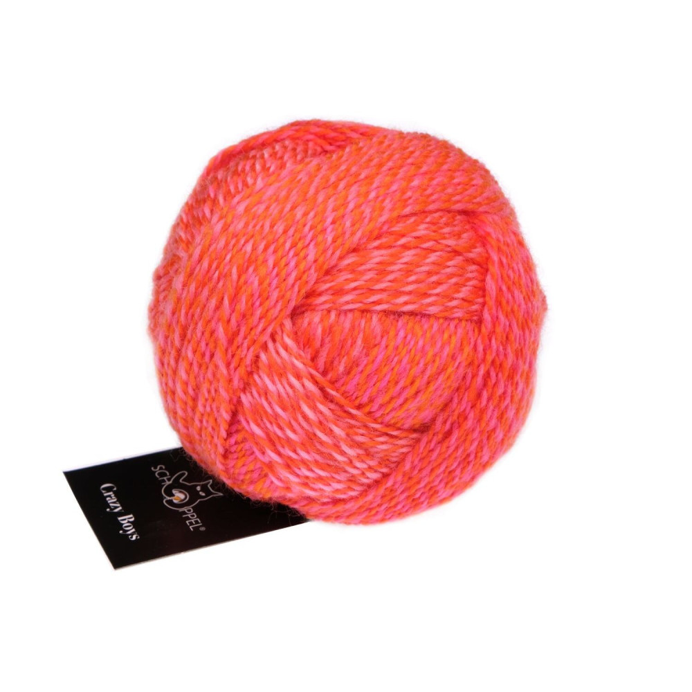 Schoppel Crazy Boys 2705 Gerhard