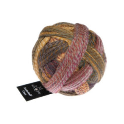 Schoppel Zauberball Crazy 2692 Gegenlicht
