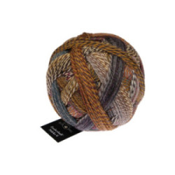 Schoppel Zauberball Stärke 6 2692 Gegenlicht