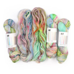 Hedgehog Fibres Sock Yarn Smuggle Bug