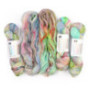 Hedgehog Fibres Sock Yarn Smuggle Bug