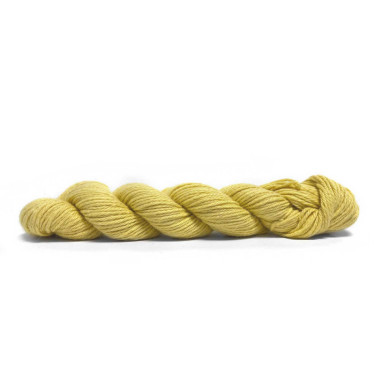 Pascuali Alpaca Fino 57 Butterblume Pascuali Alpaca Fino 57 Butterblume