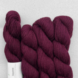 Pascuali Sayama 300 Bordeaux