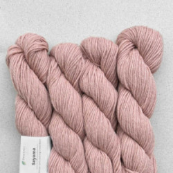 Pascuali Sayama 303 Rosé