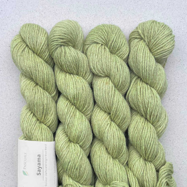 Pascuali Sayama 328 Pistazie Pascuali Sayama 328 Pistazie