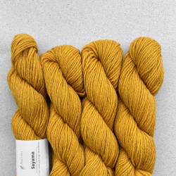 Pascuali Sayama 305 Curry