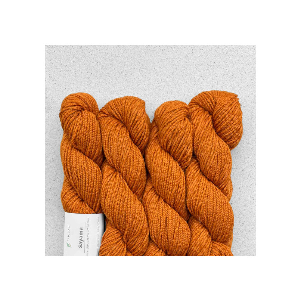 Pascuali Sayama 306 Kurkuma