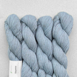 Pascuali Sayama 318 Gletscher