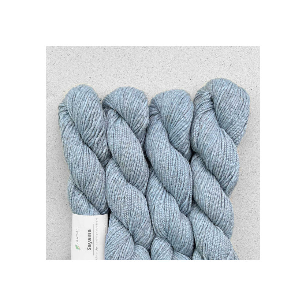 Pascuali Sayama 318 Gletscher