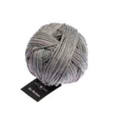 Schoppel Bio Merinos 9200tw Silber Tweed