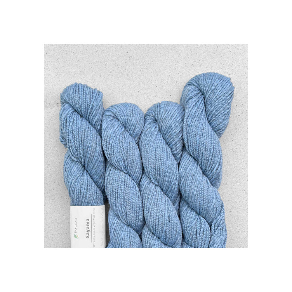 Pascuali Sayama 319 Horizont Pascuali Sayama 319 Horizont