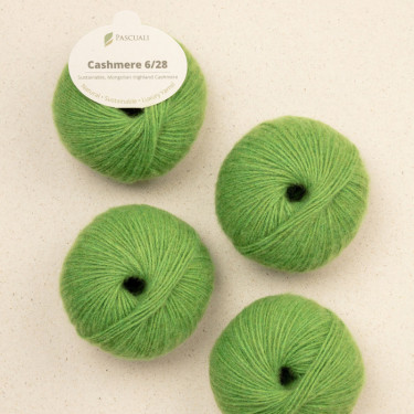 Pascuali Cashmere 6/28 102 Farn