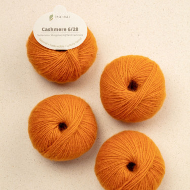 Pascuali Cashmere 6/28 93 Rost