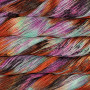 malabrigo Sock 456 Euforia
