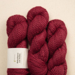 Pascuali Babyalpaca Los Andes 23 Bordeaux