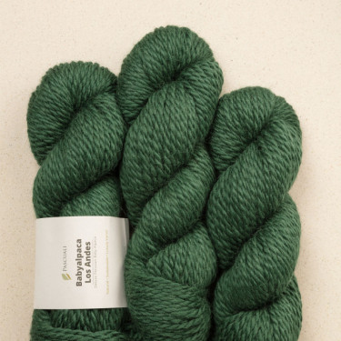 Pascuali Babyalpaca Los Andes 31 Schwarzwald