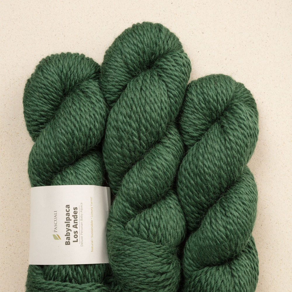 Pascuali Babyalpaca Los Andes 31 Schwarzwald
