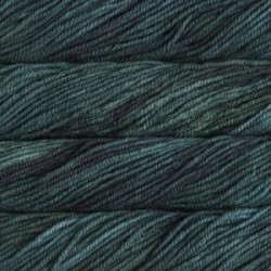 malabrigo Chunky 145 Forest
