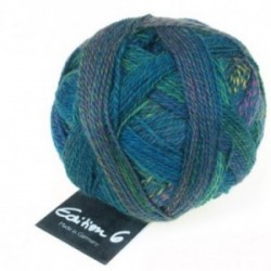 Schoppel Edition 6.0 2298 Waschtag