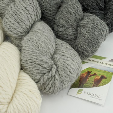 Maschenwerkstatt - Babyalpaca Los Andes